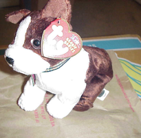 1 Dozen TY Sport the Dog Beanie Baby